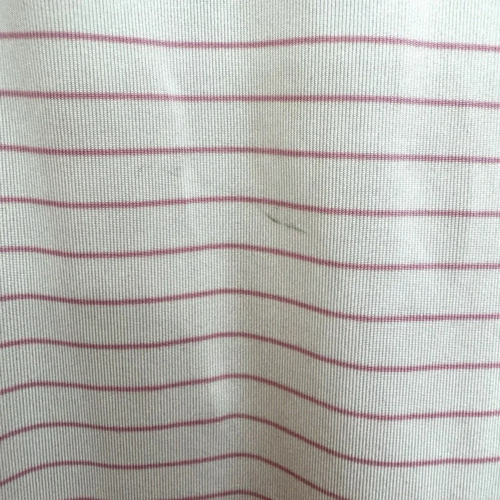 Ralph Lauren brand rlx